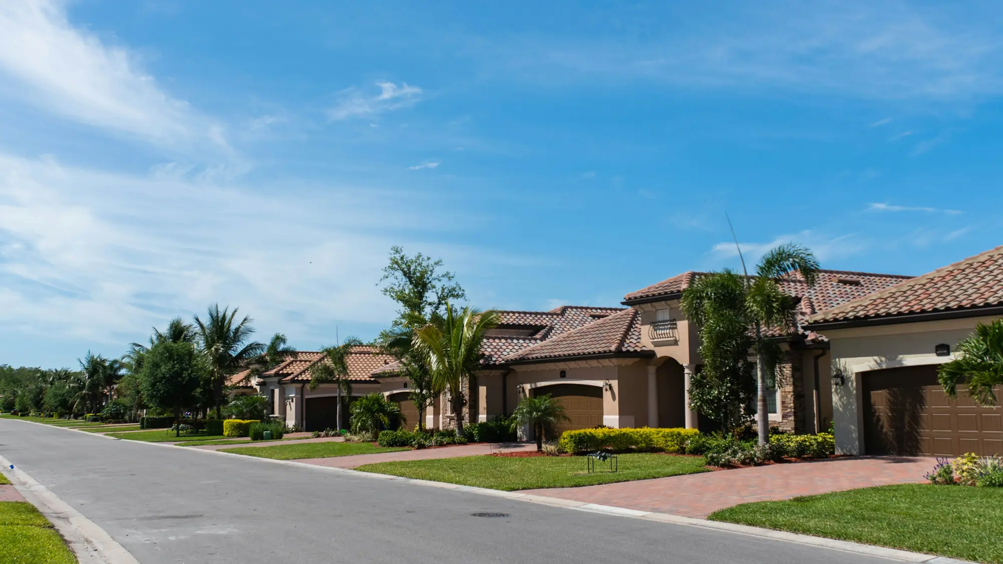 A palm-lined Palm Beach County street with manicured lawns and paver driveways