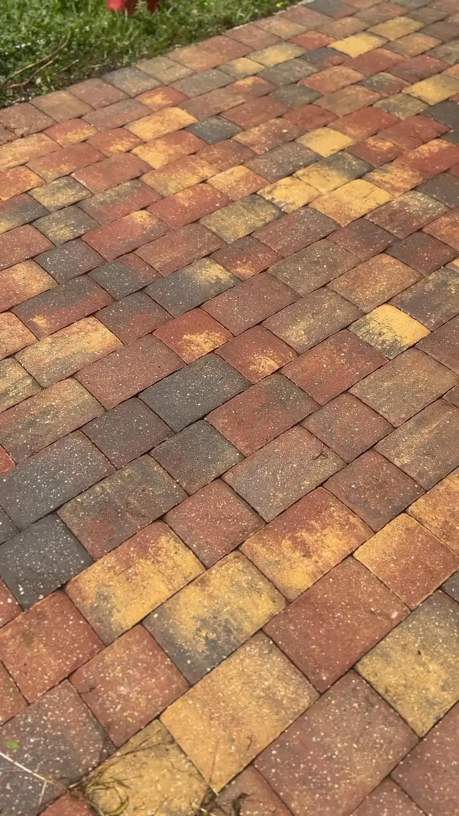 Clean, bright brick pavers after a Prestige pressure wash